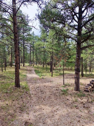 19953 Vista Clara Lane, Monument, CO 80132