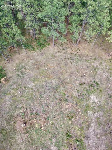 19953 Vista Clara Lane, Monument, CO 80132