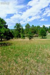19953 Vista Clara Lane, Monument, CO 80132