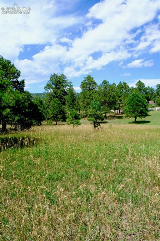 19953 Vista Clara Lane, Monument, CO 80132