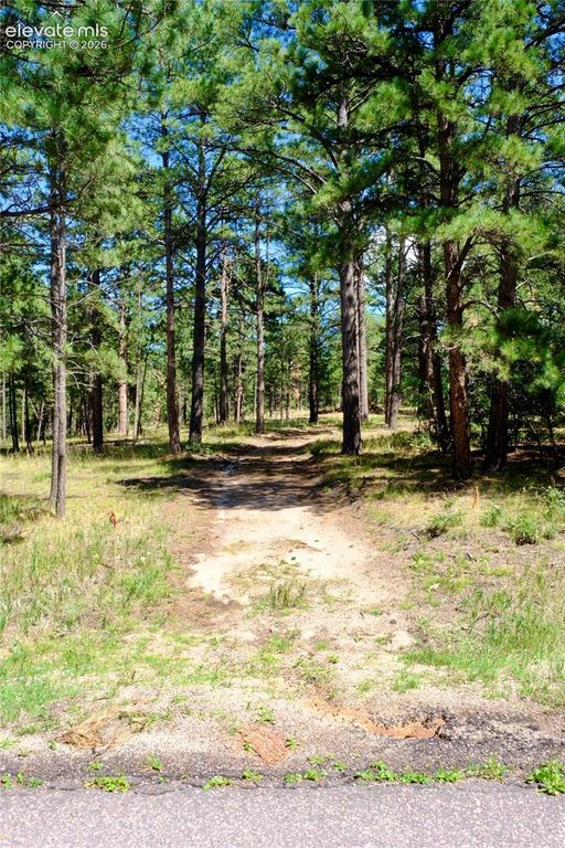19953 Vista Clara Lane, Monument, CO 80132 — photo 5