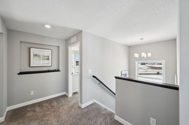 5436 Tallowtree Lane, Woodbury, MN 55129