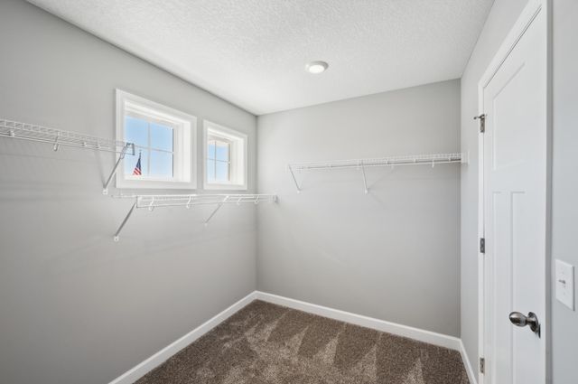 5436 Tallowtree Lane, Woodbury, MN 55129