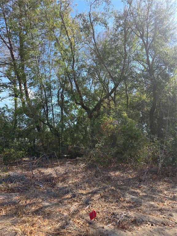 Image 1 of property listing at TBD SE 84TH TERRACE, Summerfield, FL 34491