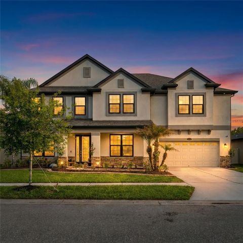 11741 ALBATROSS LANE, Riverview, FL 33569