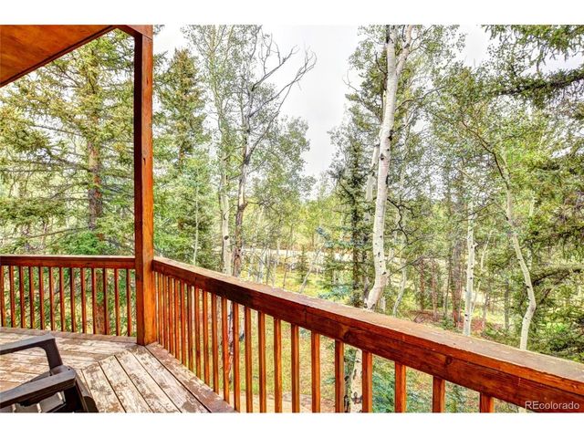 38 Grebe Ln, Como, CO 80456