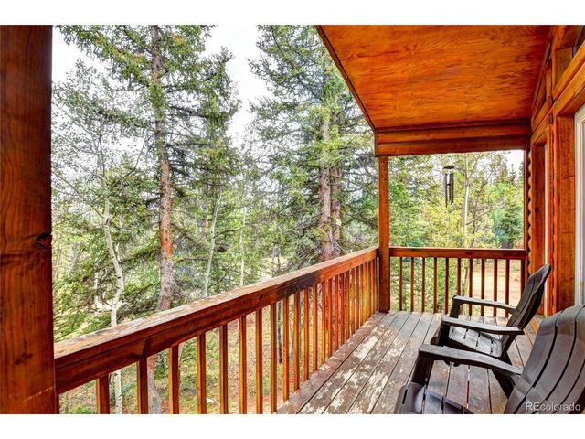 38 Grebe Ln, Como, CO 80456