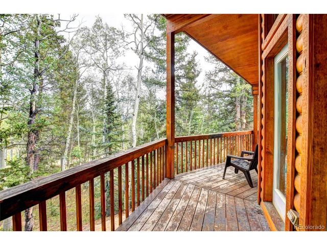 38 Grebe Ln, Como, CO 80456