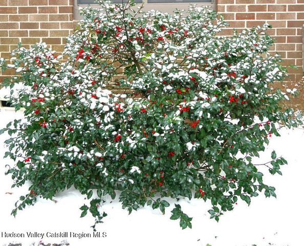 109 Knollwood Terrace, Albany, NY 12203