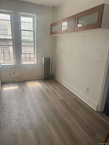 317 E 96th Street 1F, Brooklyn, NY 11212