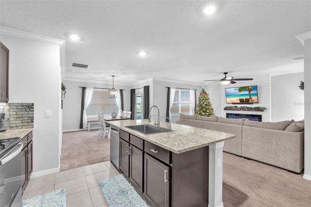 10228 CLOUDBURST COURT, Riverview, FL 33578