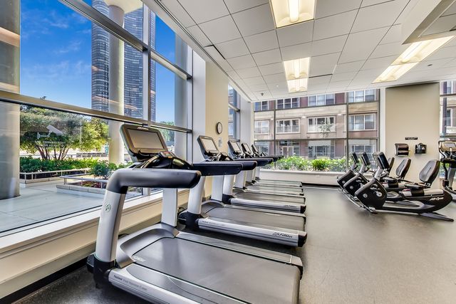 600 N Lake Shore Drive 3011, Chicago, IL 60611