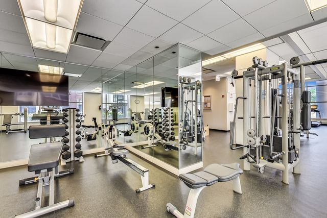 600 N Lake Shore Drive 3011, Chicago, IL 60611