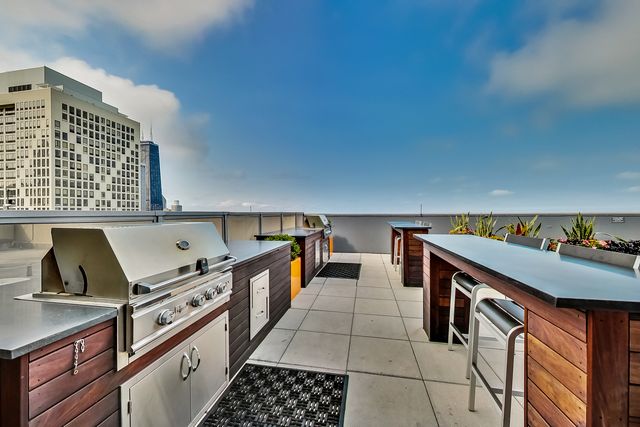 600 N Lake Shore Drive 3011, Chicago, IL 60611