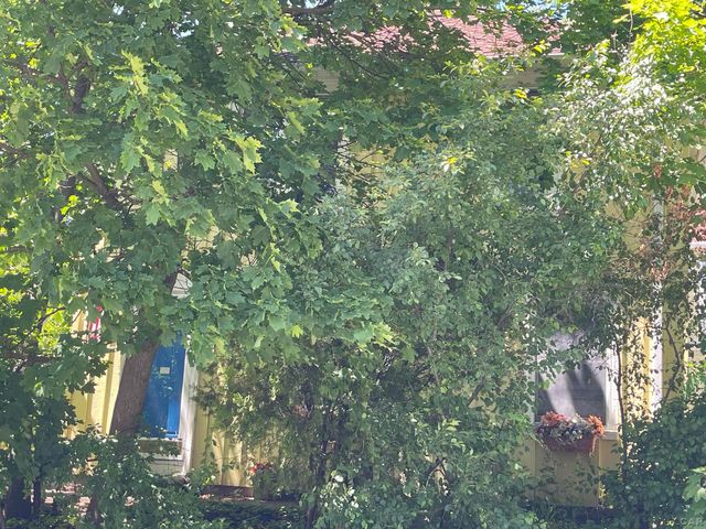 808 Mary Street, Ann Arbor, MI 48104