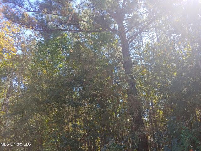 00 W Itawamba Street, Bay Saint Louis, MS 39520