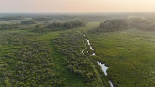 12031 State 64, Akeley, MN 56433