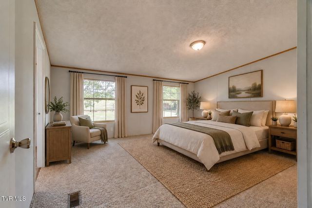 193 Barwick Road, Limestone, TN 37681