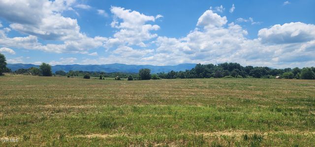 193 Barwick Road, Limestone, TN 37681