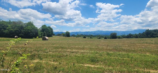 193 Barwick Road, Limestone, TN 37681