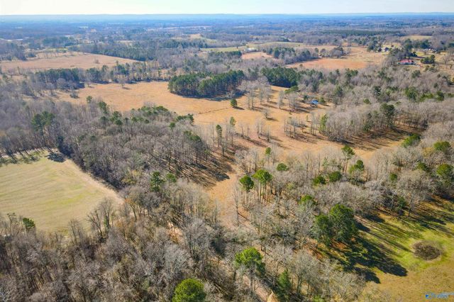 124 Acres County Road 170, Moulton, AL 35650