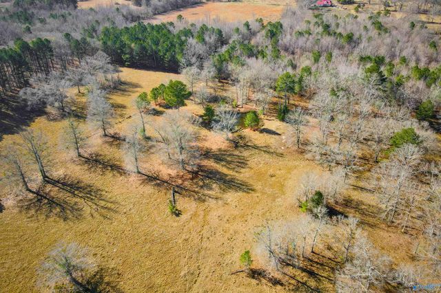 124 Acres County Road 170, Moulton, AL 35650