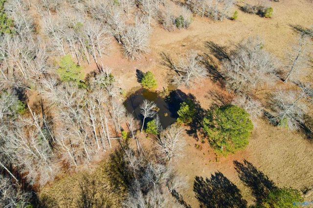 124 Acres County Road 170, Moulton, AL 35650