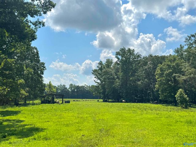124 Acres County Road 170, Moulton, AL 35650