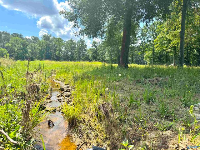 124 Acres County Road 170, Moulton, AL 35650