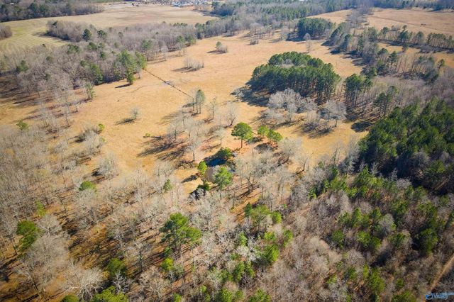 124 Acres County Road 170, Moulton, AL 35650