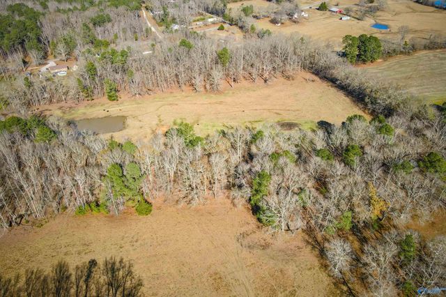 124 Acres County Road 170, Moulton, AL 35650
