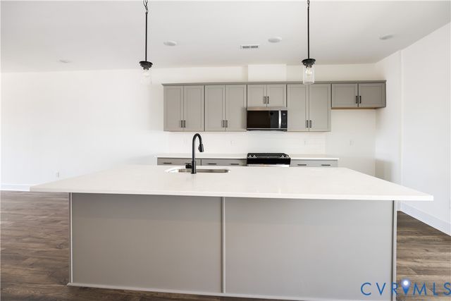 12042 Flowering Lavender Loop, Henrico, VA 23233