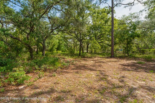14345 Missouri Skylark Road, Brooksville, FL 34614