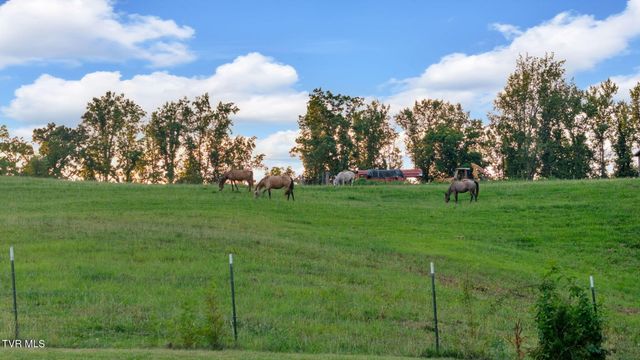 431 West Valley Drive, Kingsport, TN 37664