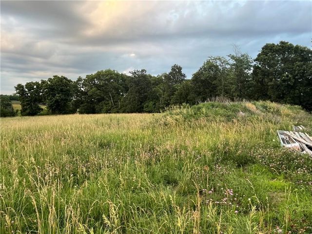 20573 Coon Branch Road, Lawson, MO 64062