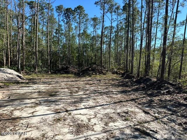 3789 Pine Pitch Court, Ormond Beach, FL 32174