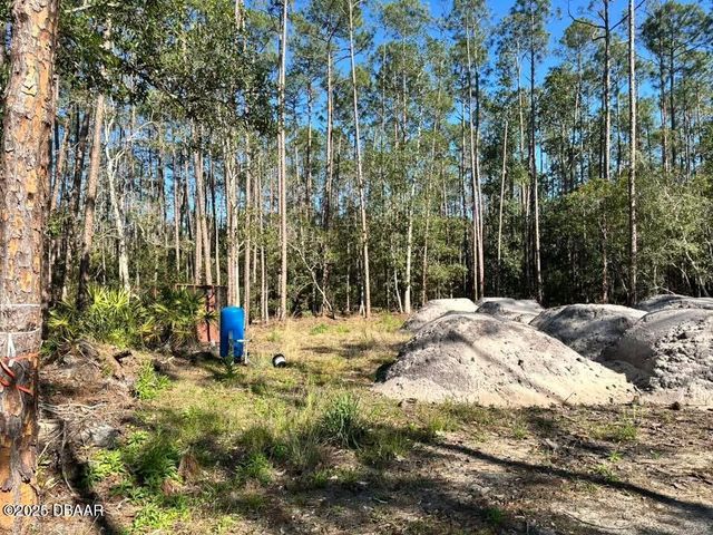 3789 Pine Pitch Court, Ormond Beach, FL 32174