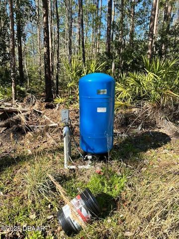 3789 Pine Pitch Court, Ormond Beach, FL 32174