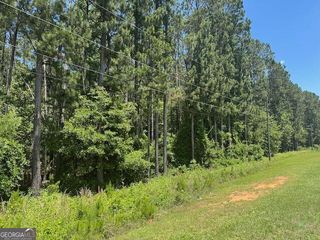 LOT 4 Matthews Road, Tennille, GA 31089