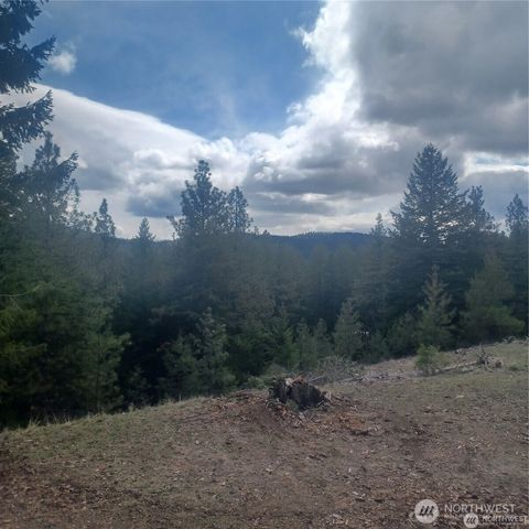 100 Turner Lake Road N, Tonasket, WA 98855