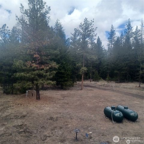 100 Turner Lake Road N, Tonasket, WA 98855