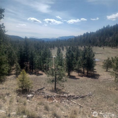 100 Turner Lake Road N, Tonasket, WA 98855