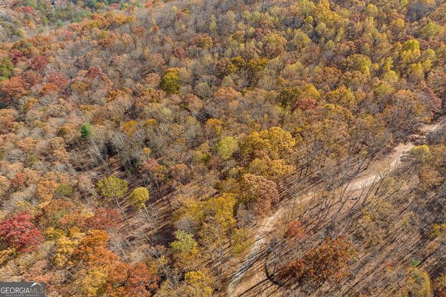 LT 17R Tanager Trail, Ellijay, GA 30536