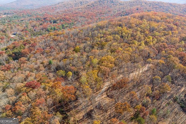LT 17R Tanager Trail, Ellijay, GA 30536