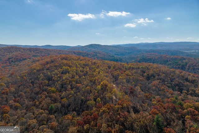 LT 17R Tanager Trail, Ellijay, GA 30536