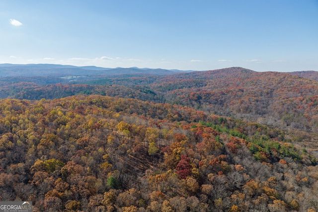 LT 17R Tanager Trail, Ellijay, GA 30536