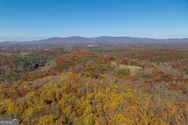 LT 17R Tanager Trail, Ellijay, GA 30536