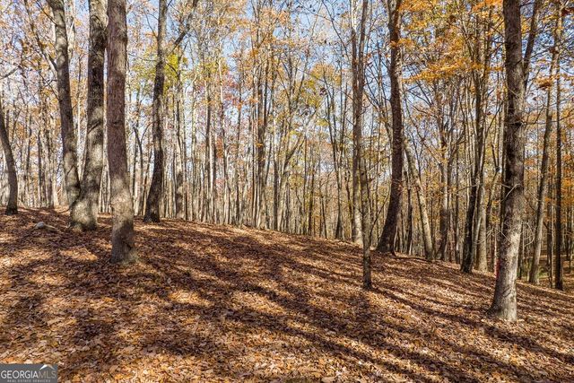 LT 17R Tanager Trail, Ellijay, GA 30536