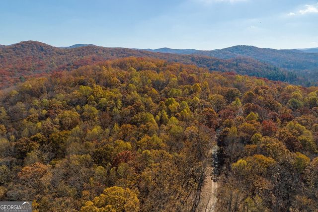LT 17R Tanager Trail, Ellijay, GA 30536