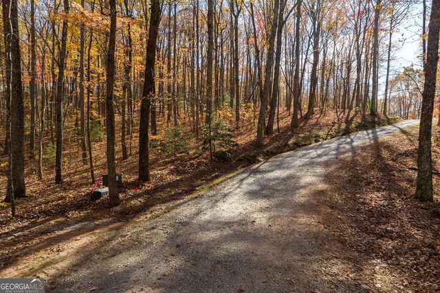 LT 17R Tanager Trail, Ellijay, GA 30536